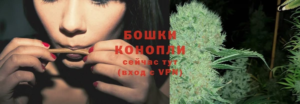 стафф Волосово
